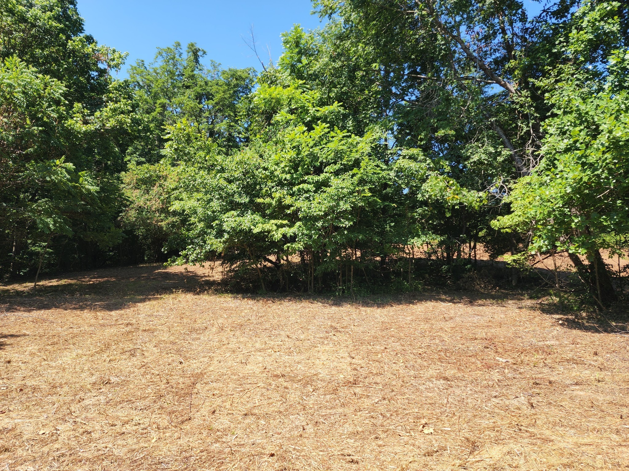 7420 Sleepy Hollow Road Fairview, TN 37062 - Photo 2 of 5 a view of yard with wooden fence