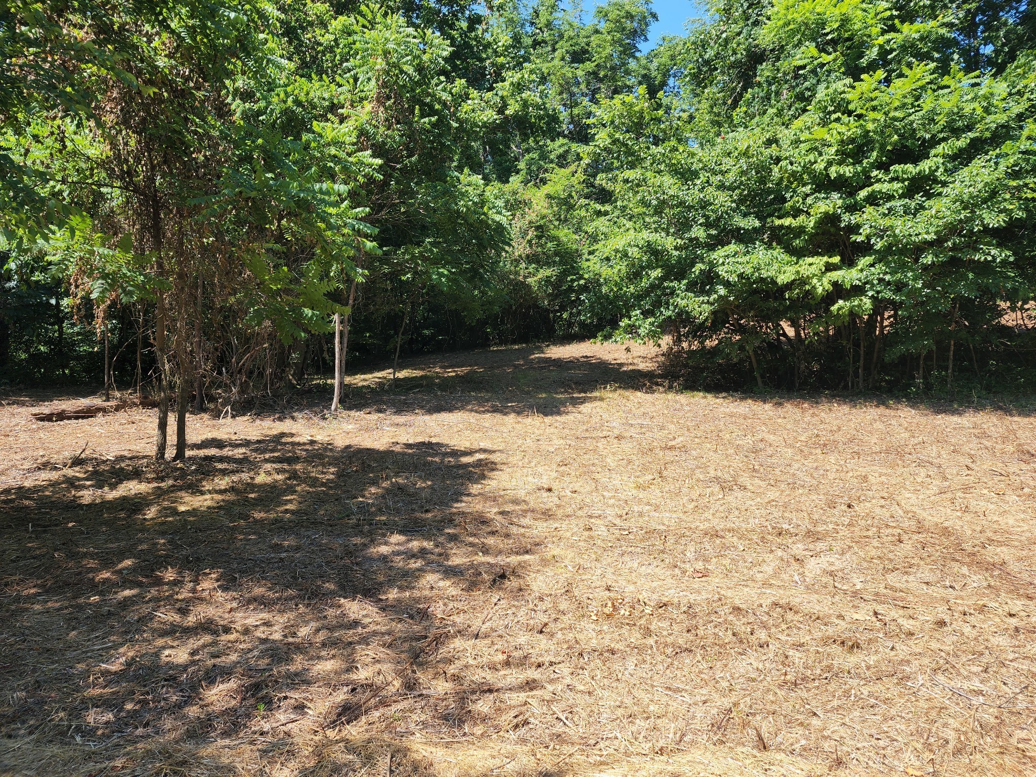 7420 Sleepy Hollow Road Fairview, TN 37062 - Photo 3 of 5 a street view yard