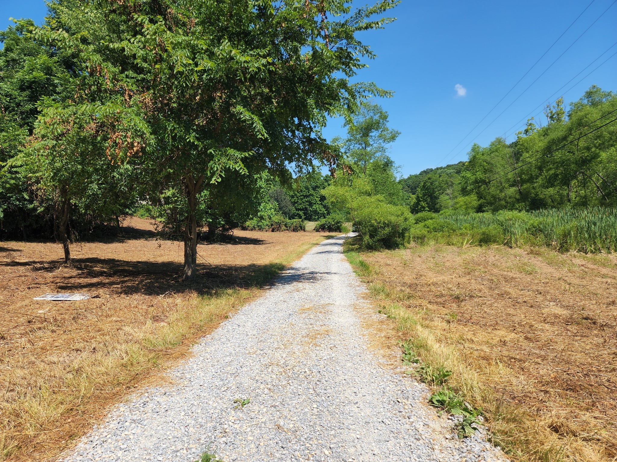 7420 Sleepy Hollow Road Fairview, TN 37062 - Photo 4 of 5 a view of a yard with trees