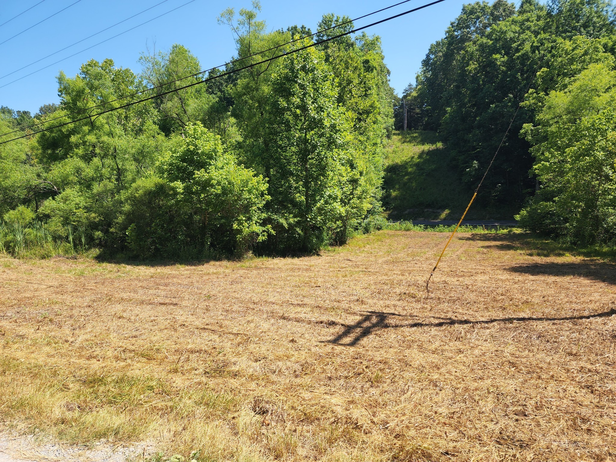 7420 Sleepy Hollow Road Fairview, TN 37062 - Photo 5 of 5