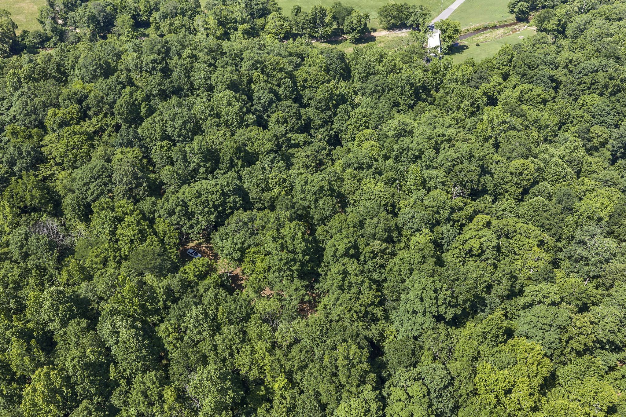 0 East Blue Creek Road McEwen, TN 37101 - Photo 5 of 17