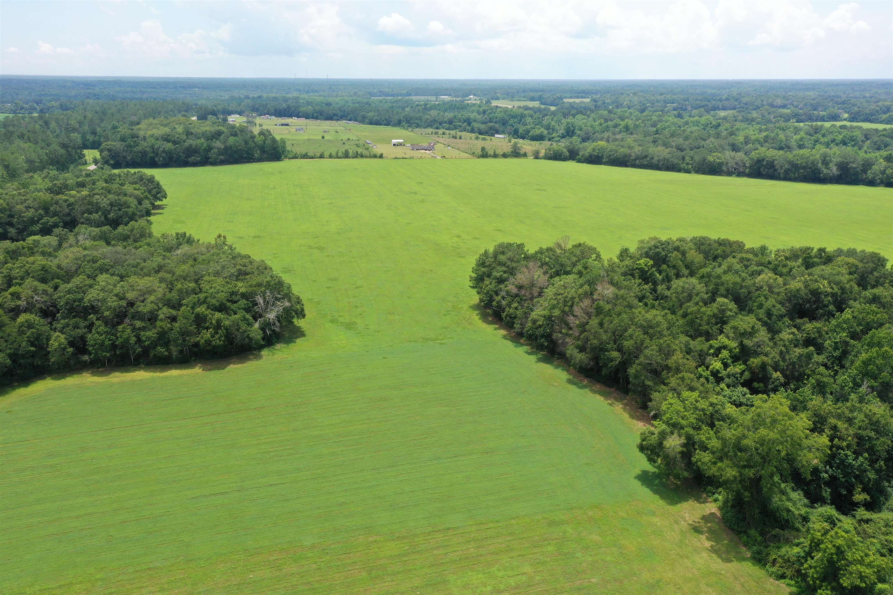 Xx Xx Max Herrin Road Quincy, FL 32352 - Photo 14 of 46