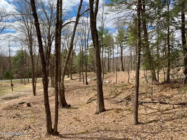 a view of a backyard of the house