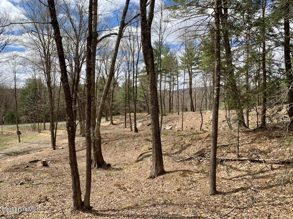 181 West Center Road West Stockbridge, MA 01266 - Photo 11 of 14 a view of a backyard of the house