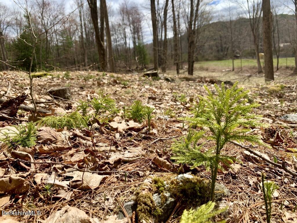 181 West Center Road West Stockbridge, MA 01266 - Photo 12 of 14 a view of covered with snow