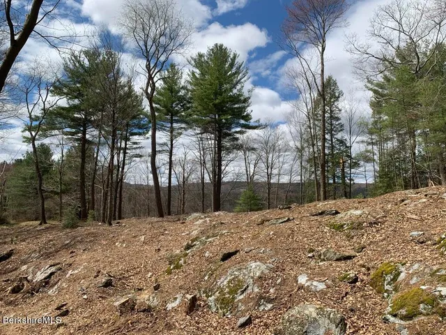 a view of a yard covered with snow in front of house