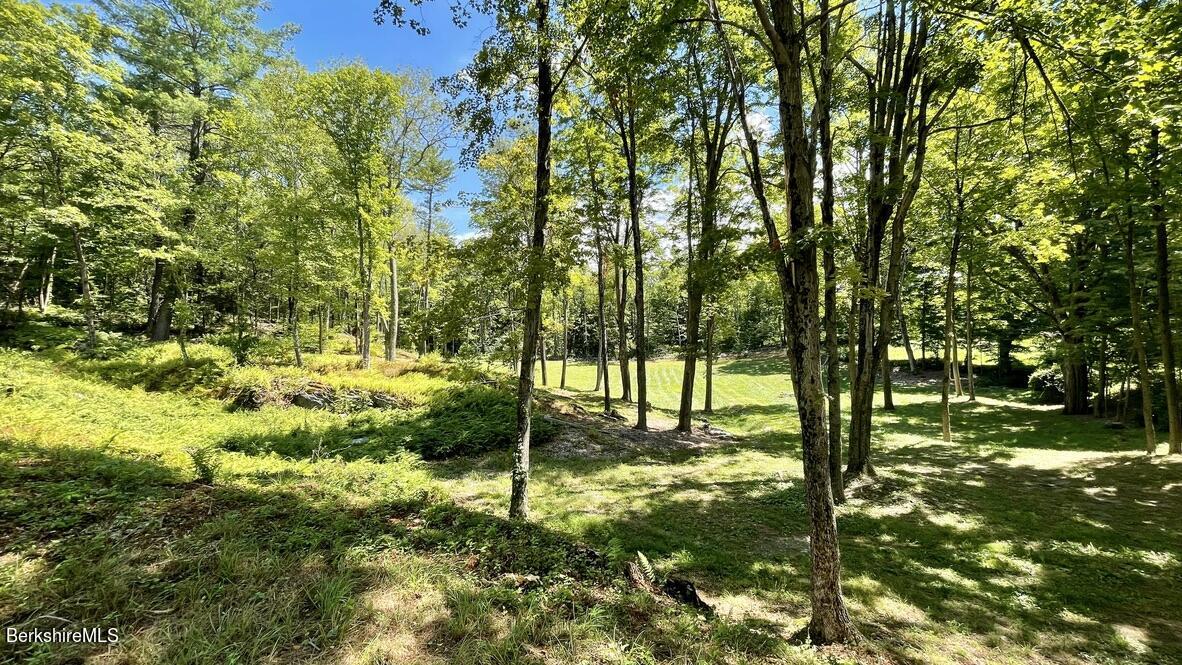 181 West Center Road West Stockbridge, MA 01266 - Photo 2 of 14 a view of a yard with a tree