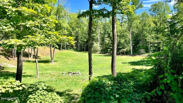 a view of a garden with a tree