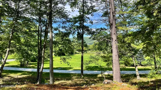 a view of a garden with a tree