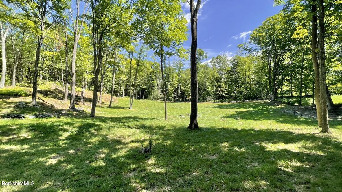 181 West Center Road West Stockbridge, MA 01266 - Photo 6 of 14 a view of a park with a tree