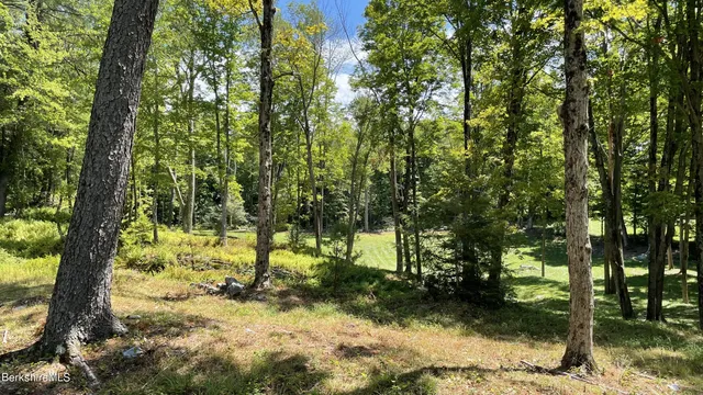 a view of a yard with trees
