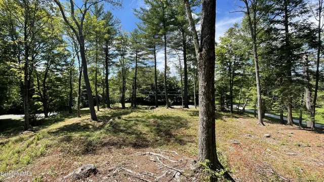 a view of a covered with trees in the background