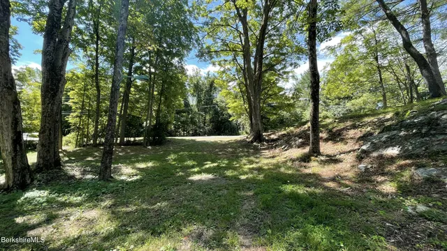a view of a tree in a yard