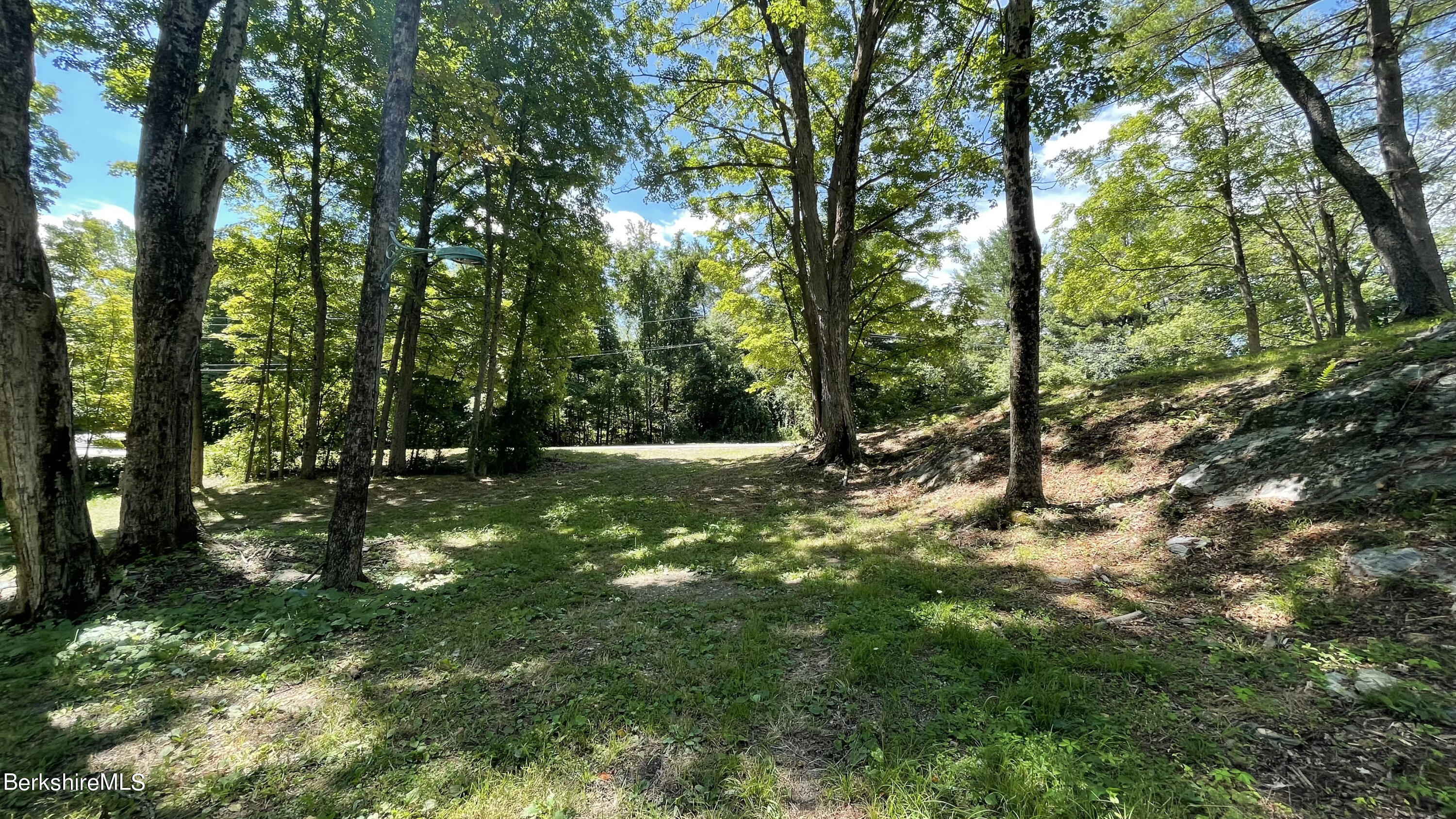 181 West Center Road West Stockbridge, MA 01266 - Photo 9 of 14 a view of a tree in a yard