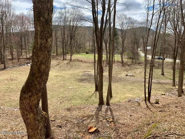 a view of a yard with trees