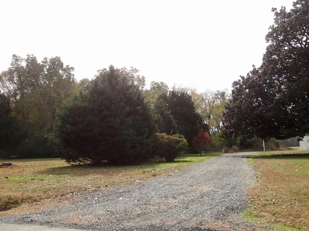 50 B Cemetery Road, Unit 50B Oldsmar, FL 34677 - Photo 3 of 8