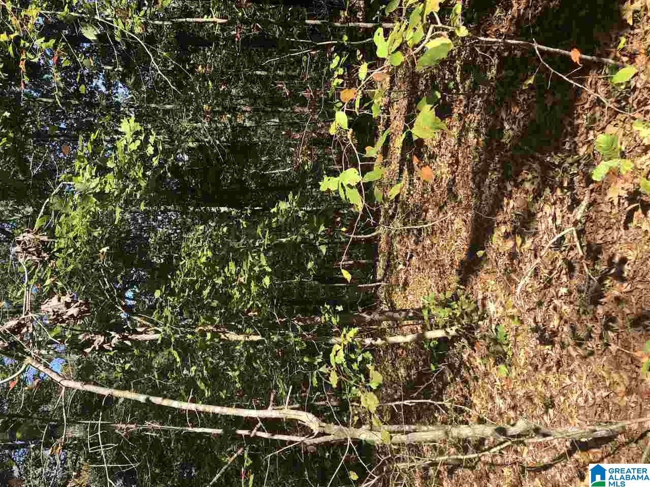 8791 Brasher Road Pinson, AL 35126 - Photo 5 of 6