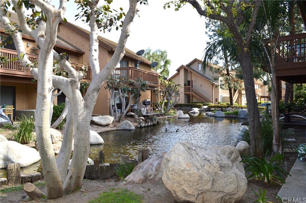 View of running creek from back patio area