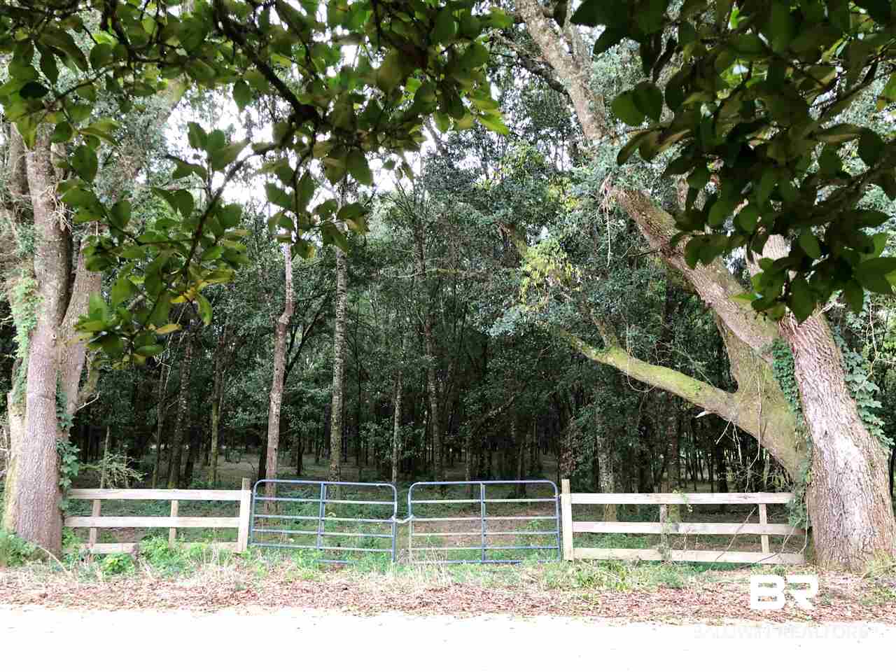 16440 Newman Road Summerdale, AL 36580 - Photo 3 of 29 Main Gate