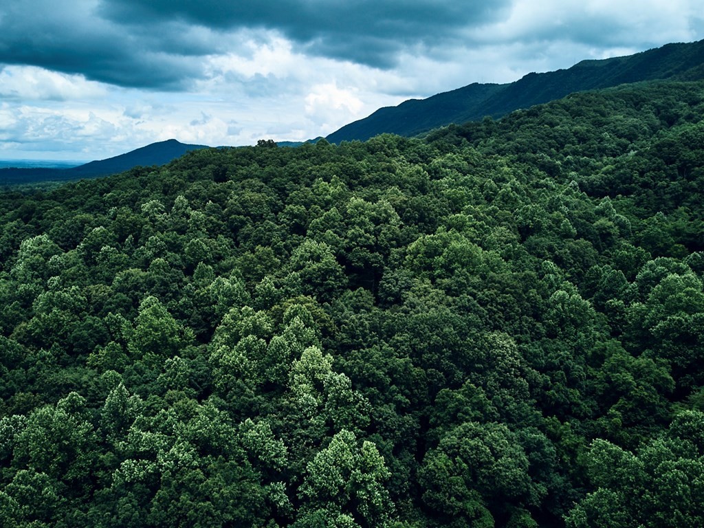 0 Blowing Cave Road Sevierville, TN 37876 - Photo 31 of 34 Gallery Image 31