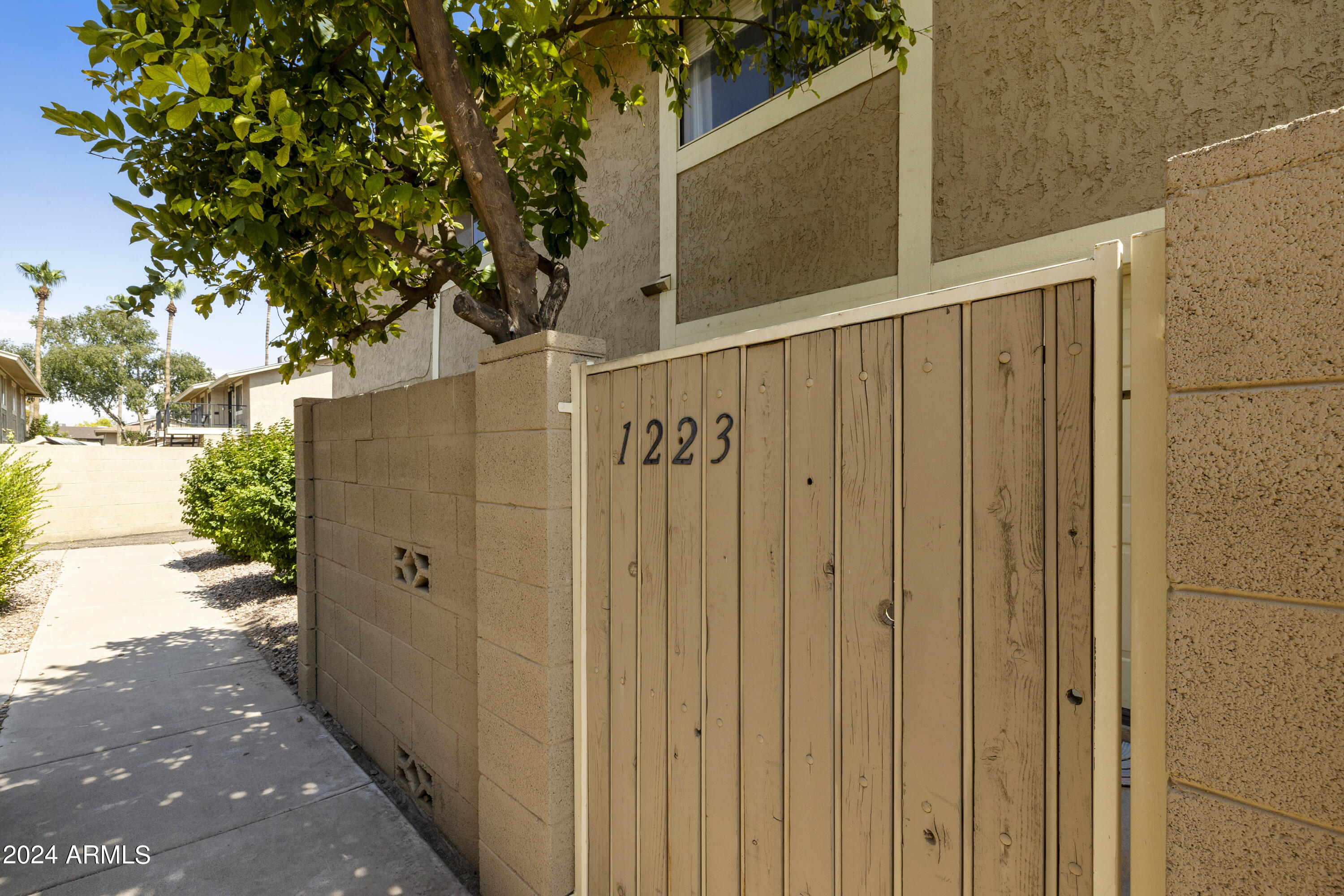 1223 North Granite Reef Road Scottsdale, AZ 85257 - Photo 11 of 35 a view of a wooden door with a tree in front of it