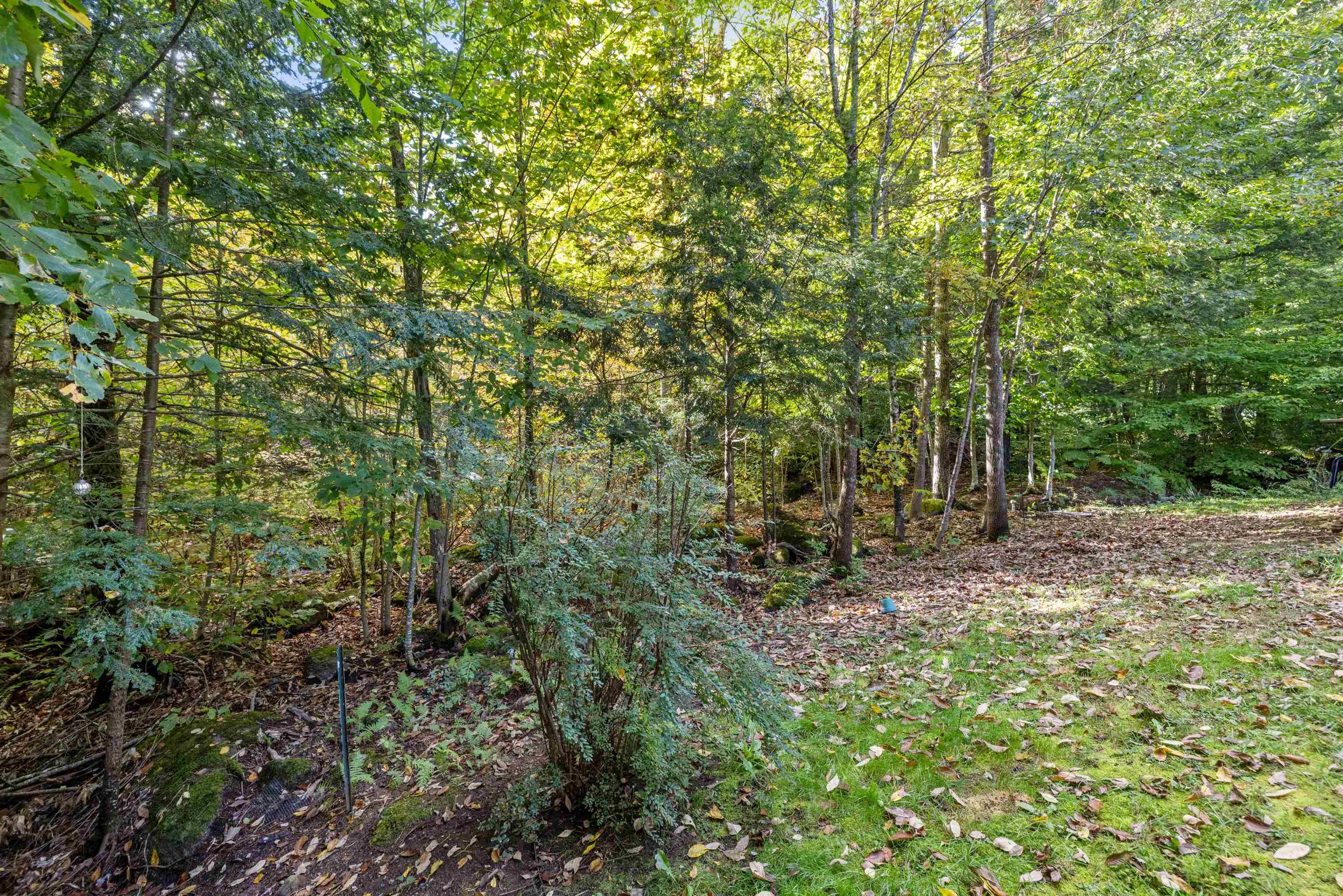 32 Ellen Brook Road Hillsborough, NH 03244 - Photo 45 of 59 Gallery Image 45