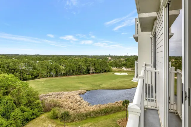 a view of a big yard with potted plants