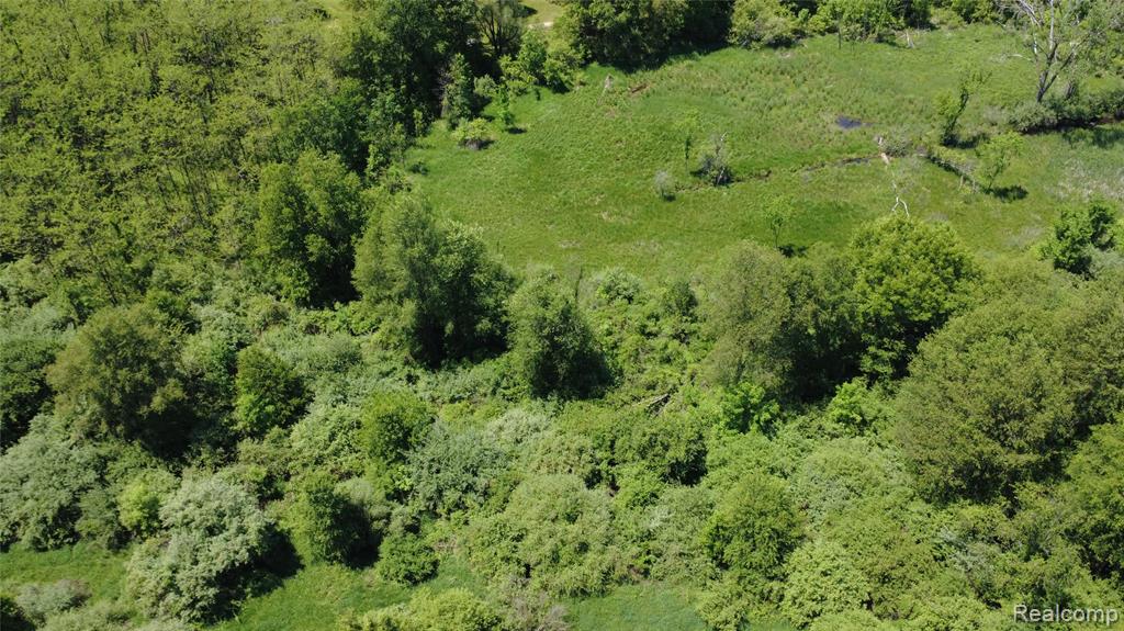0 Wasson Road Gregory, MI 48137 - Photo 1 of 5