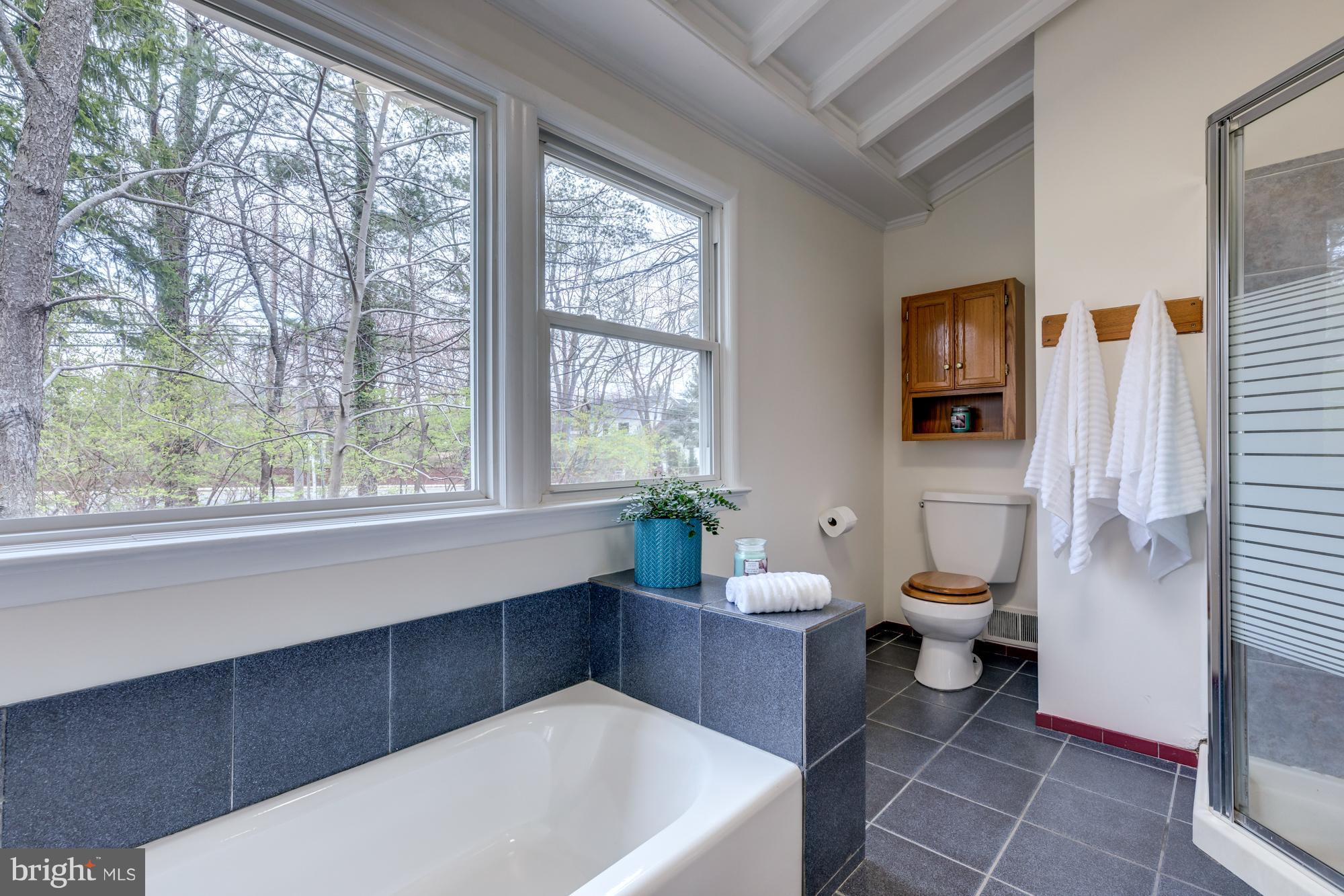 440 Beulah Road Vienna, VA 22180 - Photo 16 of 28 Master Bath separate tub and shower
