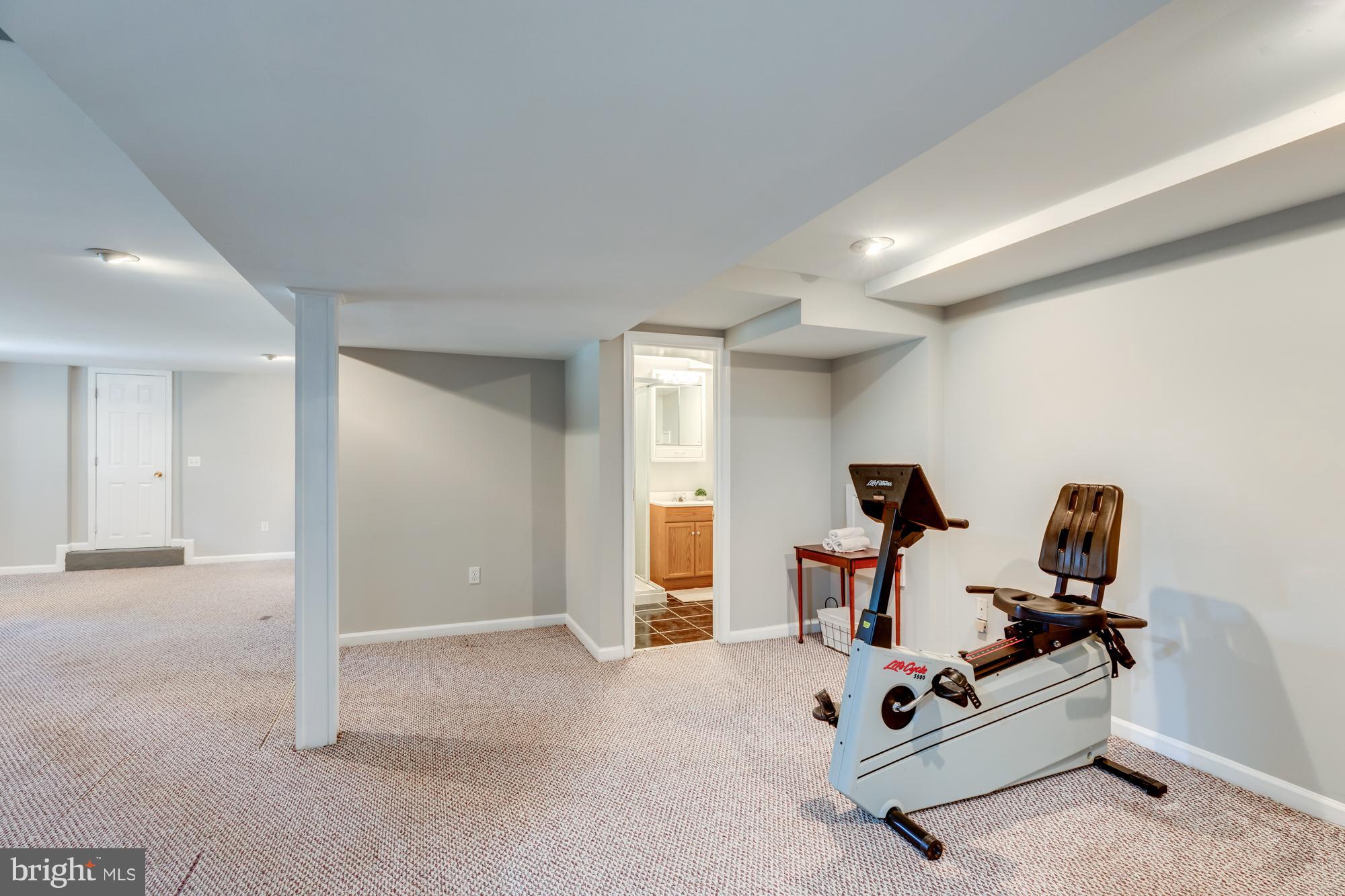 440 Beulah Road Vienna, VA 22180 - Photo 21 of 28 Lower Level Rec Room and Full Bath #3
