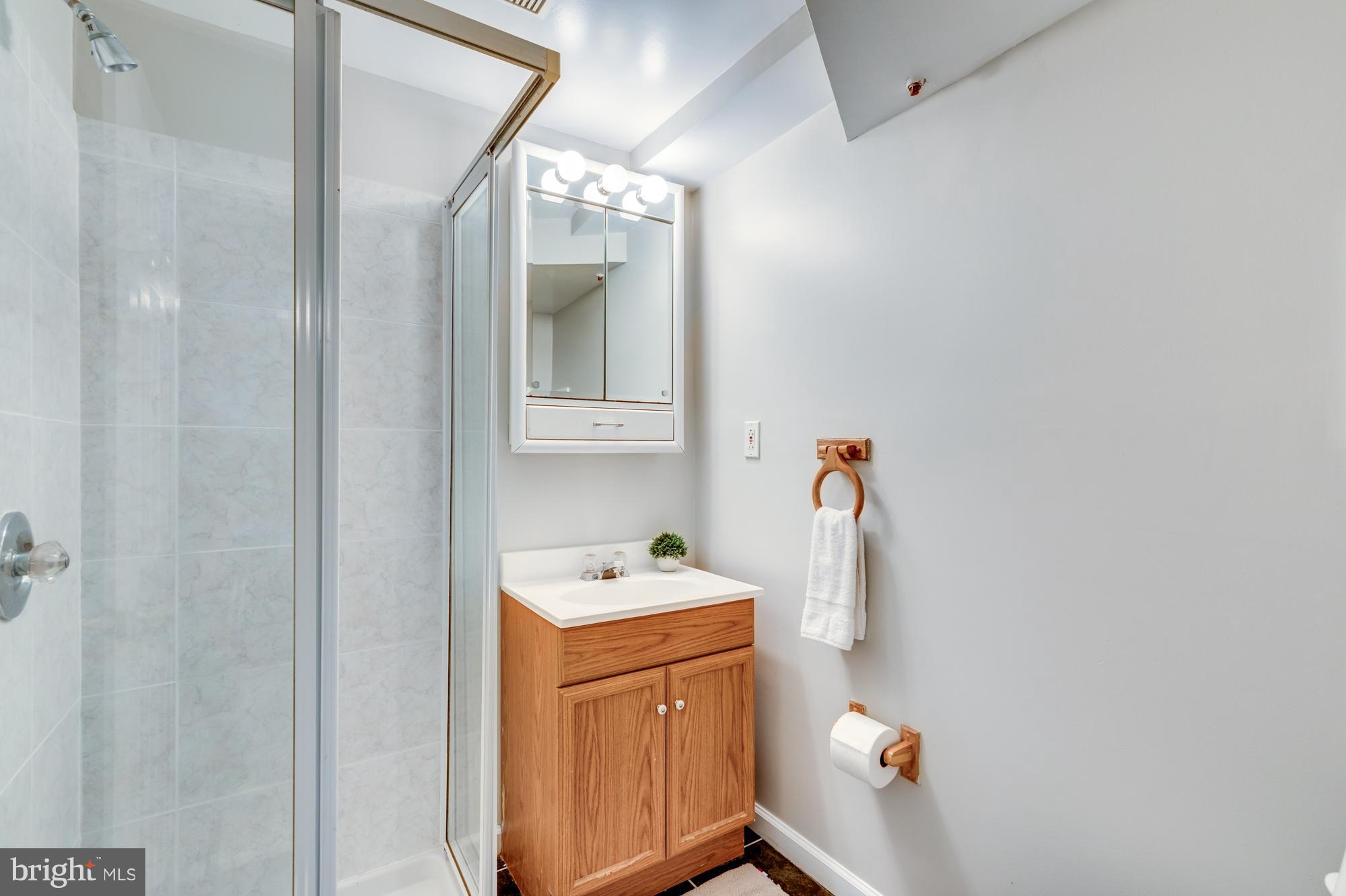 440 Beulah Road Vienna, VA 22180 - Photo 4 of 28 Lower Level Full Bath #3