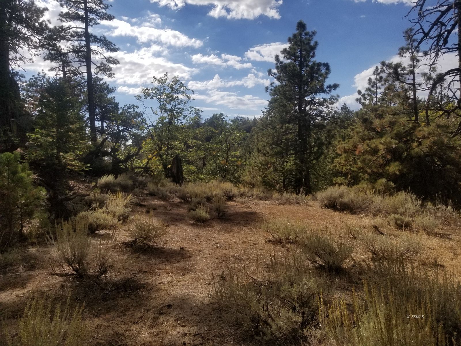 Piute Pines Caliente, CA 93518 - Photo 2 of 26