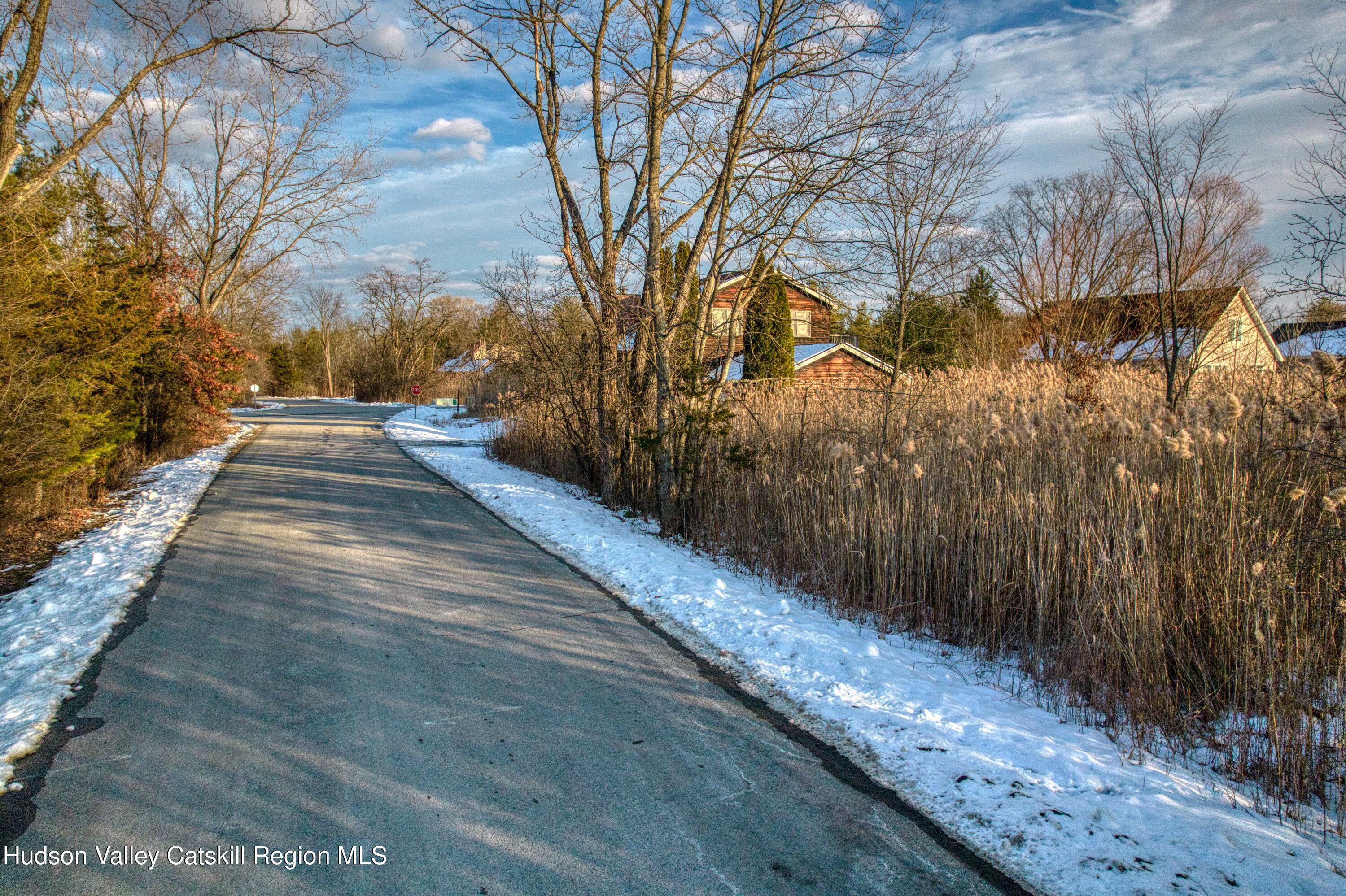 109 Rip Van Winkle Drive Athens, NY 12015 - Photo 6 of 15 a view of a pathway with a wrought fence