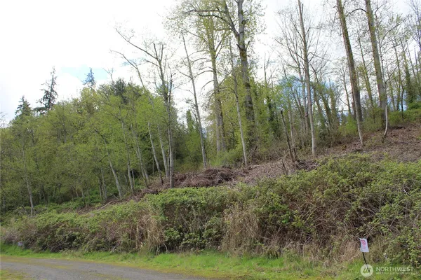 $250,000 | 22-xx Franklin Street, Everett, WA 98203