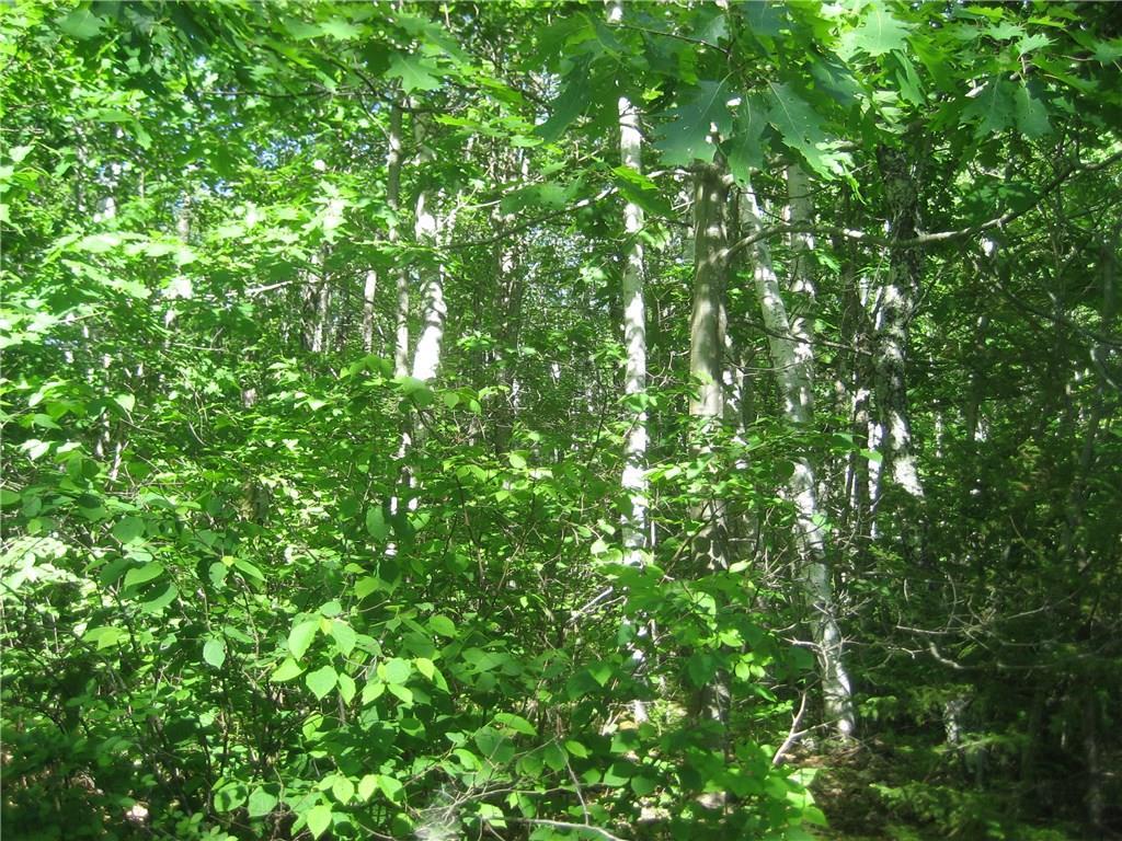 0 Rhodes Ln Union Union, ME 04862 - Photo 10 of 25 Photo