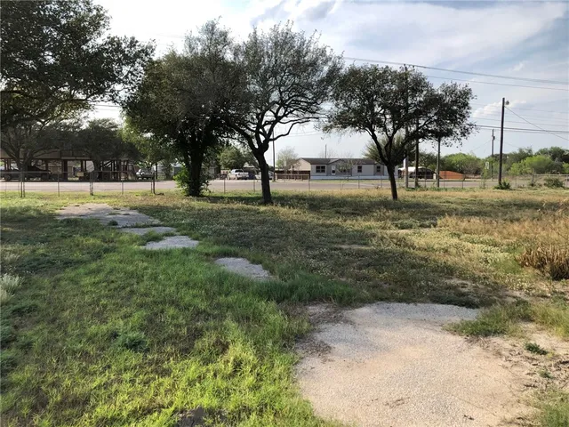 a view of yard with trees