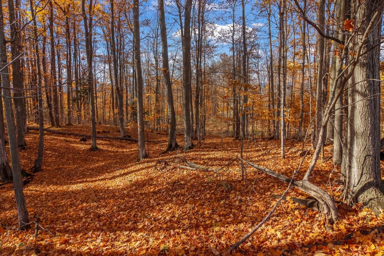 0 Herkner Road Traverse City, MI 49685 - Photo 20 of 22 Gallery Image 20