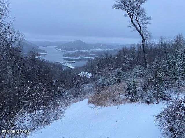 $560,000 | 320 Sara Lane, Maynardville, TN 37807