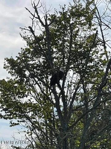 $560,000 | 320 Sara Lane, Maynardville, TN 37807