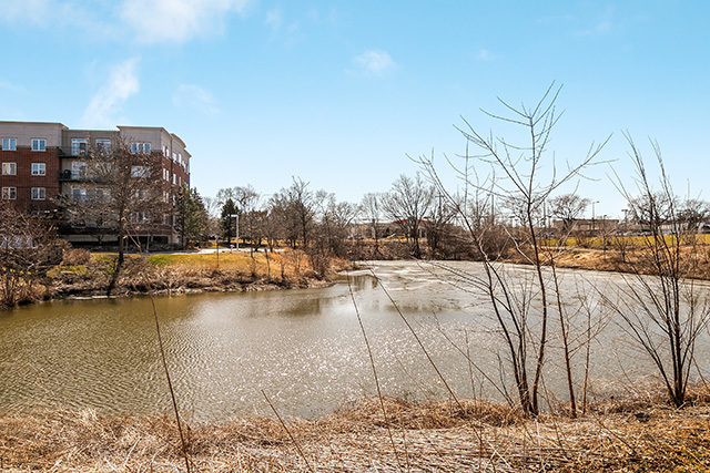 820 Weidner Road, Unit 510 Buffalo Grove, IL 60089 - Photo 23 of 25 Gallery Image 23