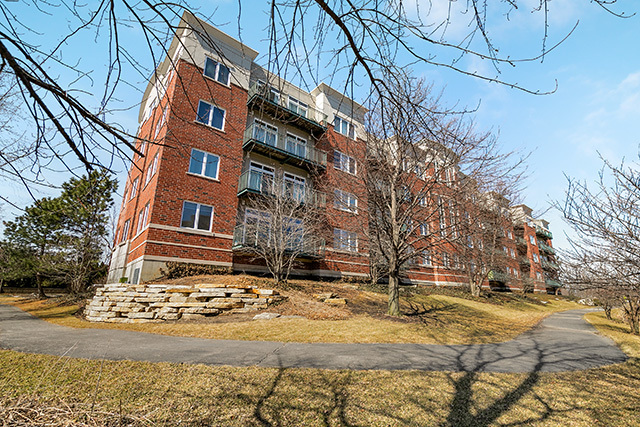 820 Weidner Road, Unit 510 Buffalo Grove, IL 60089 - Photo 24 of 25 Gallery Image 24
