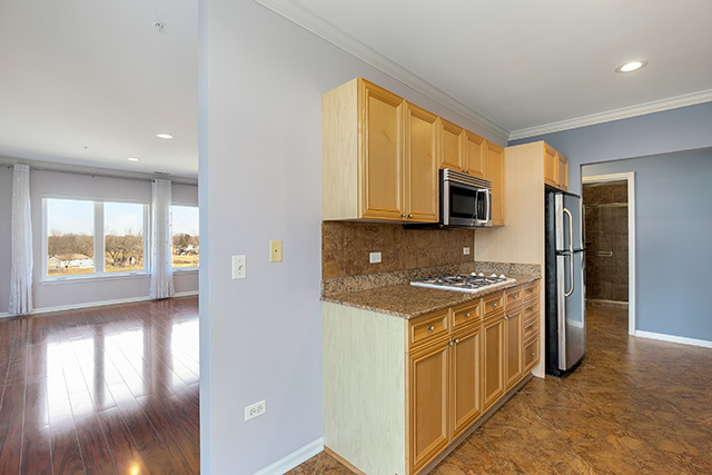 820 Weidner Road, Unit 510 Buffalo Grove, IL 60089 - Photo 9 of 25 Gallery Image 9