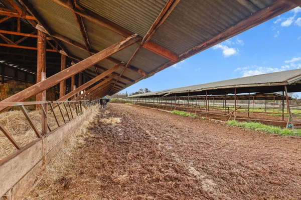 a view of outdoor space