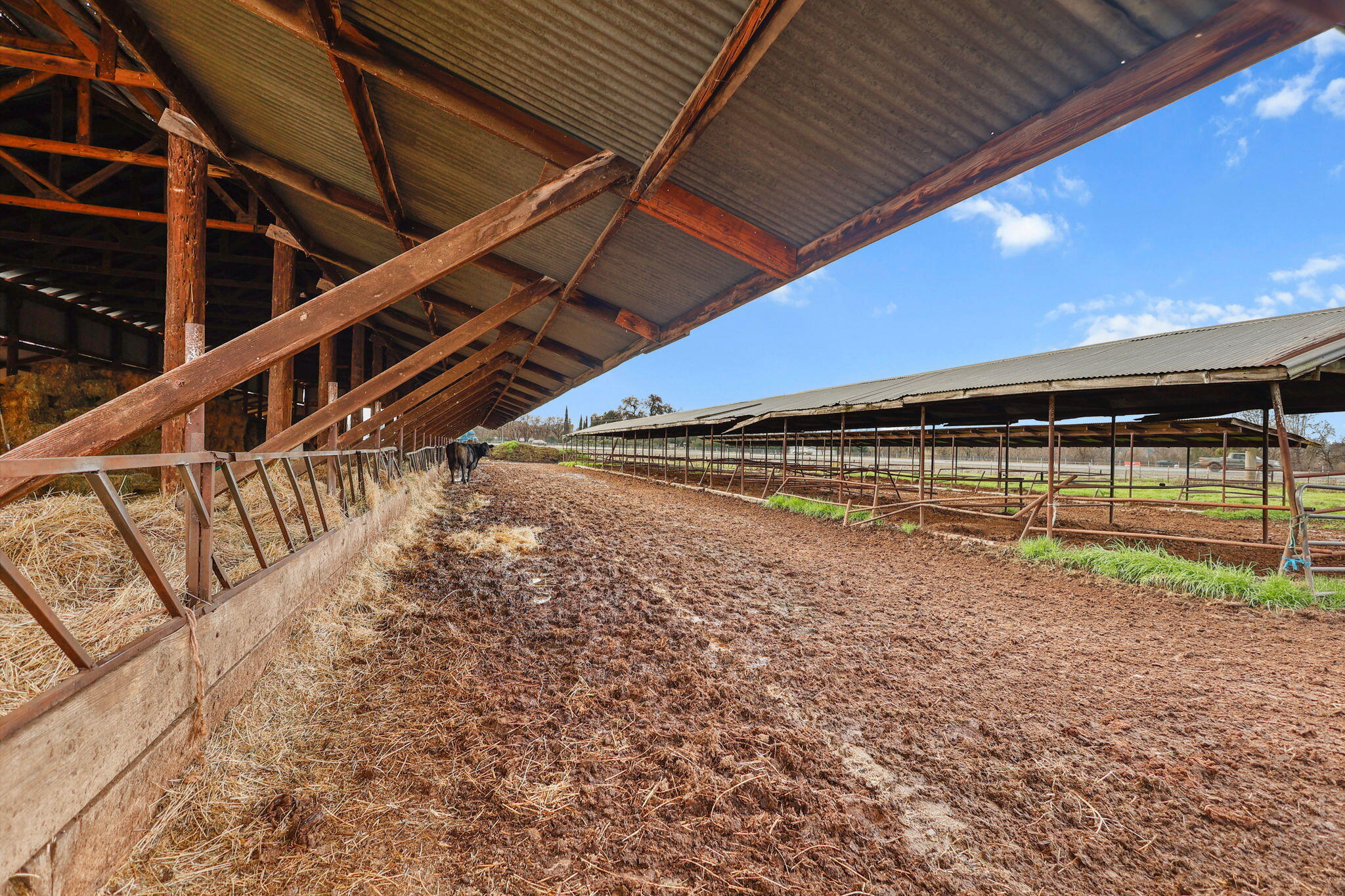 7100 Milky Way Redding, CA 96002 - Photo 18 of 27 18-web-or-mls-_K3A0021