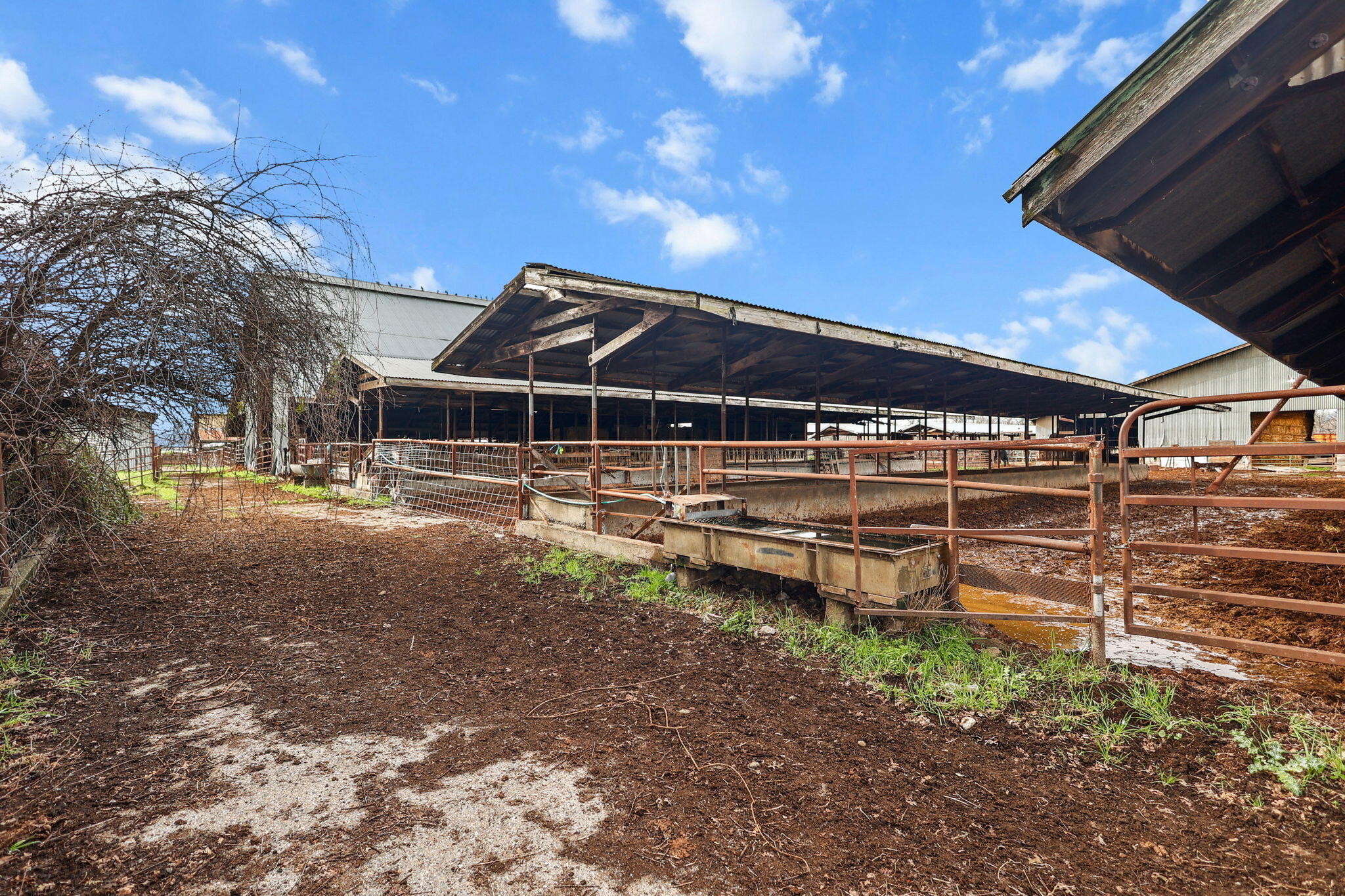 7100 Milky Way Redding, CA 96002 - Photo 20 of 27 20-web-or-mls-_K3A0041