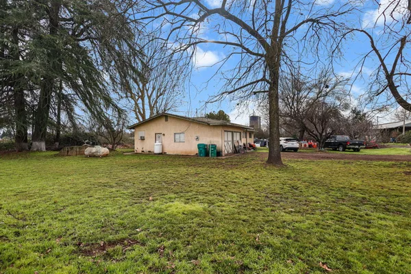 a large tree in front of a house