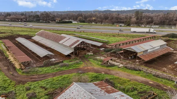 a view of a lake with a yard and a large tree