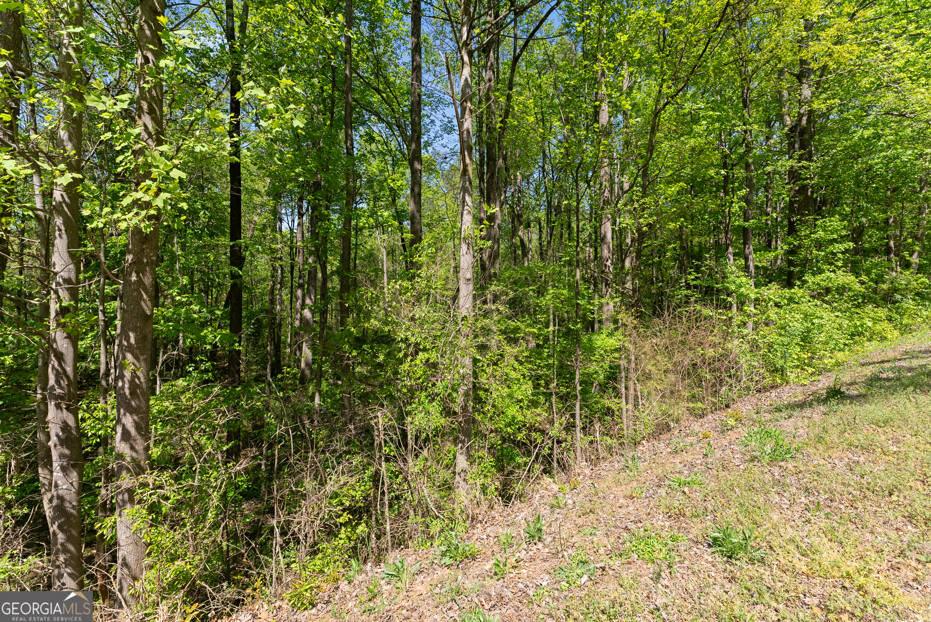 4 Woods Bridge Road Commerce, GA 30529 - Photo 6 of 26