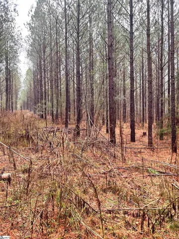 $1,049,685 | 0 Columbia Road, Edgefield, SC 29824