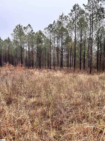 $1,049,685 | 0 Columbia Road, Edgefield, SC 29824